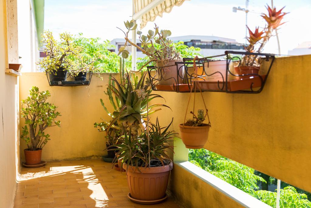 Sa Mama E Su Sole Apartment Alghero Luaran gambar